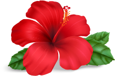 flower slide3Asset 1@4x